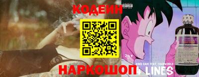 спиды Камышлов