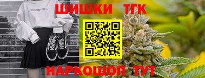 спиды Камышлов