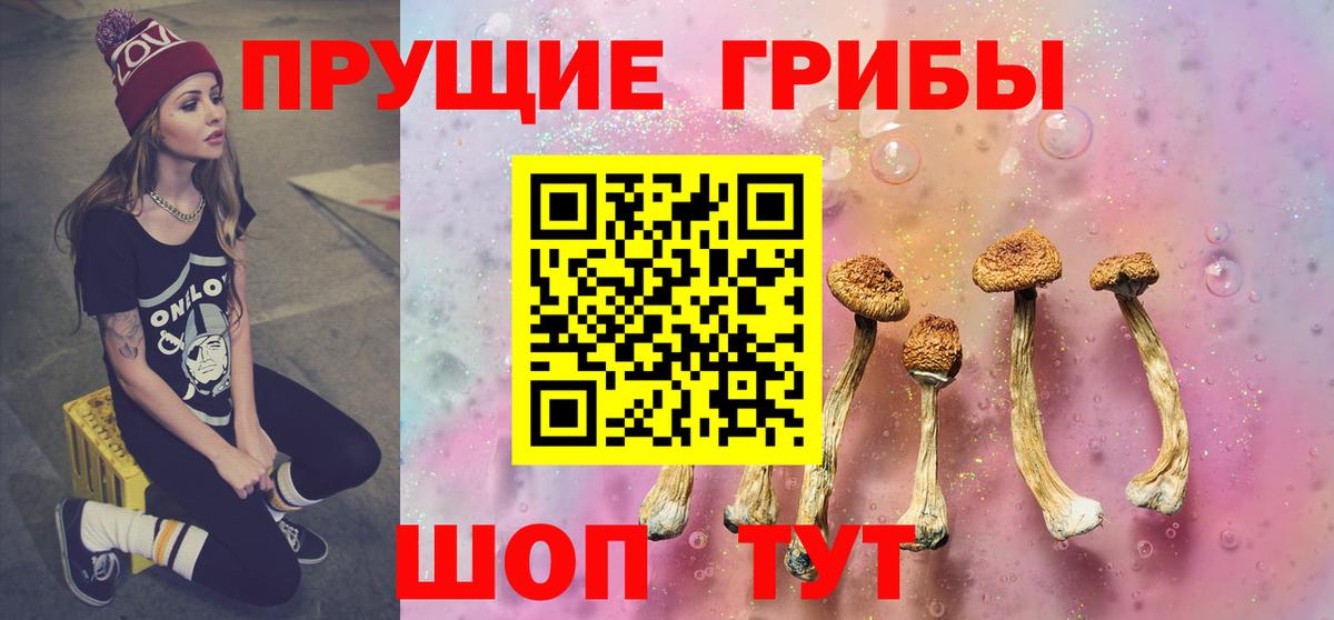Красный Сулин  Псилоцибиновые грибы MAGIC MUSHROOMS  Вход с VPN 
