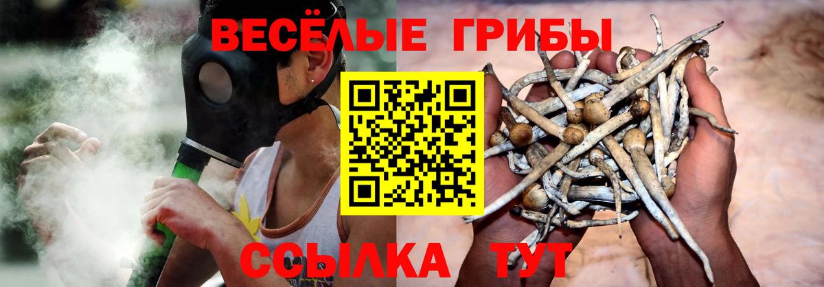 Галлюциногенные грибы прущие грибы Красный Сулин